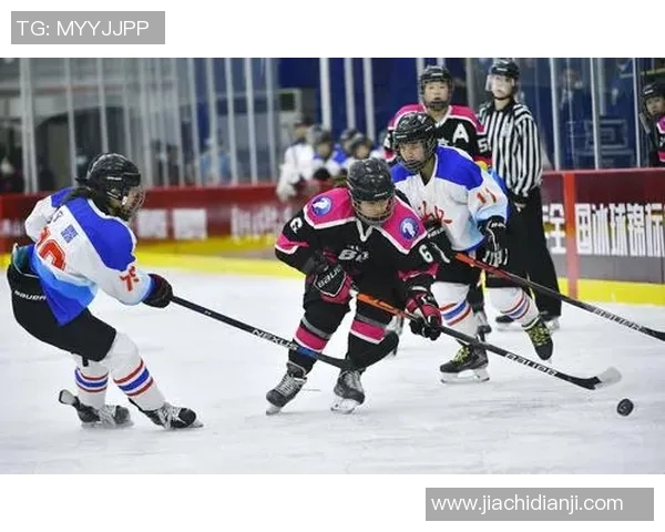 北京篮球队在世界锦标赛积分榜上以65分稳居第一位置引发关注